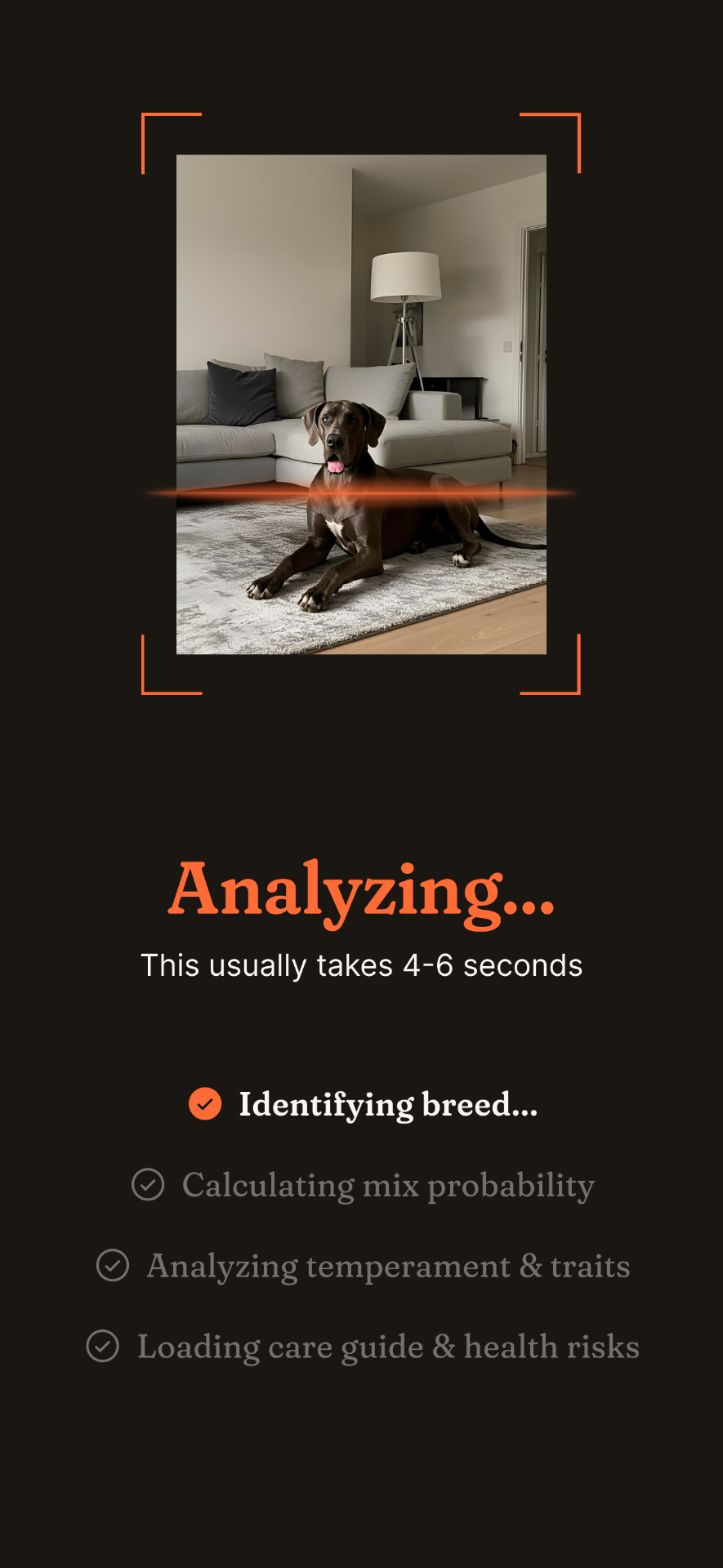 Pety AI breed analysis in progress
