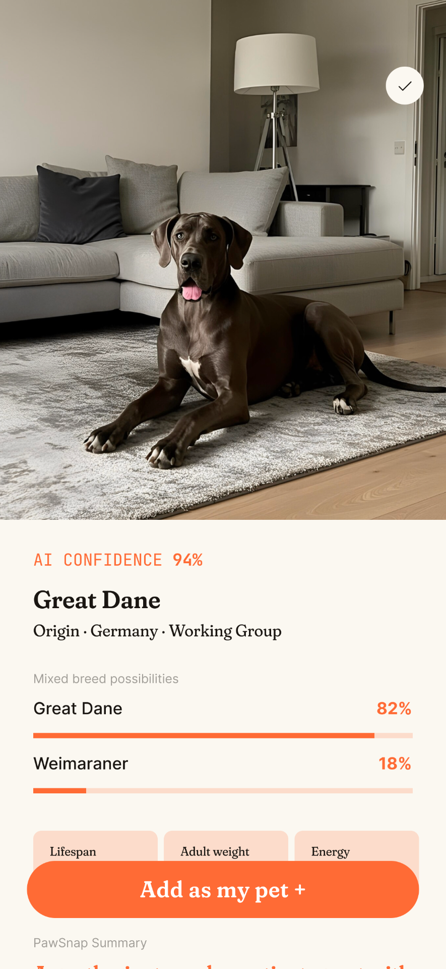 Pety breed identification result for a Great Dane